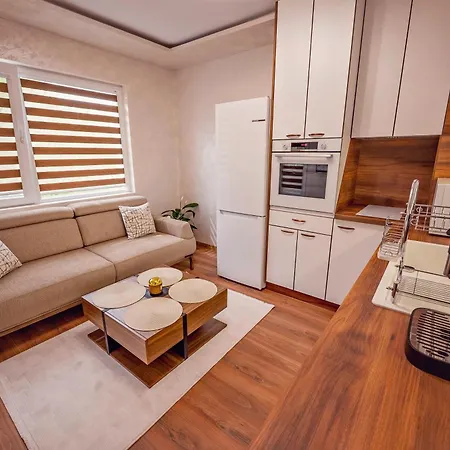 Infinity Boutique Apartment